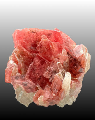 RHODOCHROSITE XX, QUARZ XX, PASTO BUENO, PERU