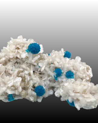 CAVANSITE XX auf STILBITE XX, WAGHOLI MINE, INDIEN